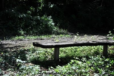 panchina by Aldo Caruso.jpg