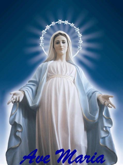 SalveRegina.jpg