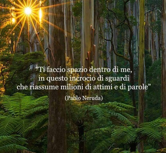 Ode Alla Pace Pablo Neruda Leggoerifletto